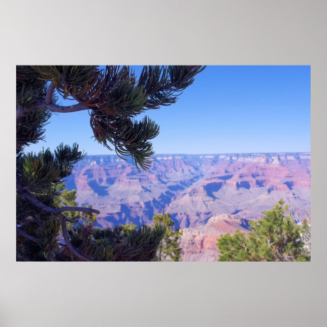 Poster Le Grand Canyon - Arizona - USA (Devant)