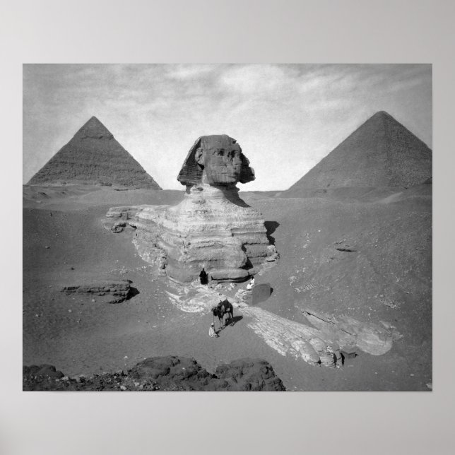 Poster Le Grand Sphinx & Pyramides, 1878. Photo ancienne (Devant)
