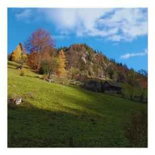 Poster Le Haut Pré - Nature Sauvage Roumanie