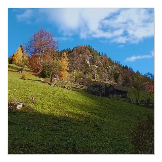 Poster Le Haut Pré - Nature Sauvage Roumanie (Devant)