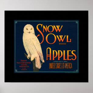Poster Le hibou vintage Apple de neige de KRW portent des