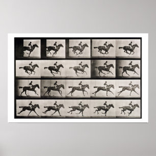 Poster Le jockey sur un cheval galopant, plaquent 627 du