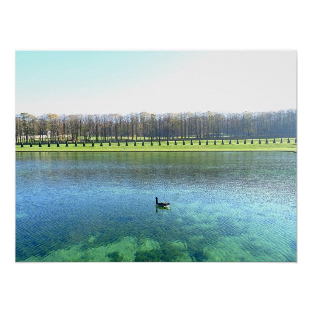 Poster Le lac Forest. Oie sur l'eau. (Devant)