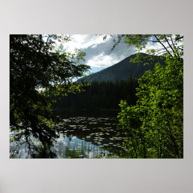 Poster Le lac Johns I au parc national de Glacier (Devant)