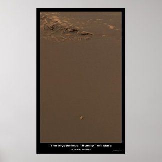 Poster Le lapin sur Mars - Qu'est-ce que c'est ?