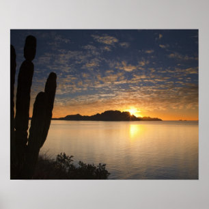 Poster Le lever de soleil sur Isla Danzante dans le golfe