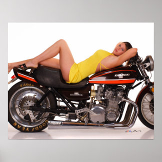 Poster Le modèle Z1 et le modèle Cassie