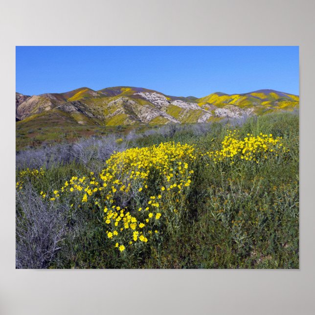 Poster Le monument national de Carrizo Plain (Devant)