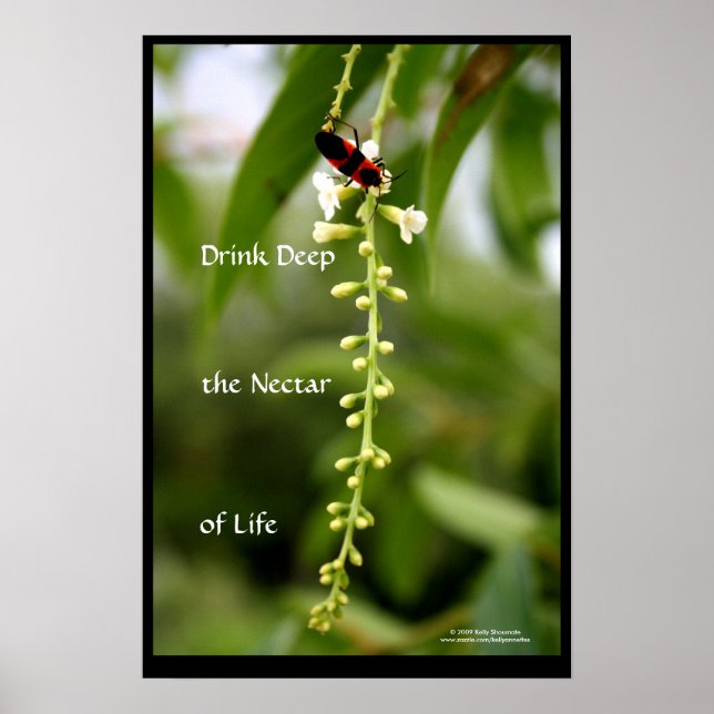 Poster Le nectar de la vie (Devant)