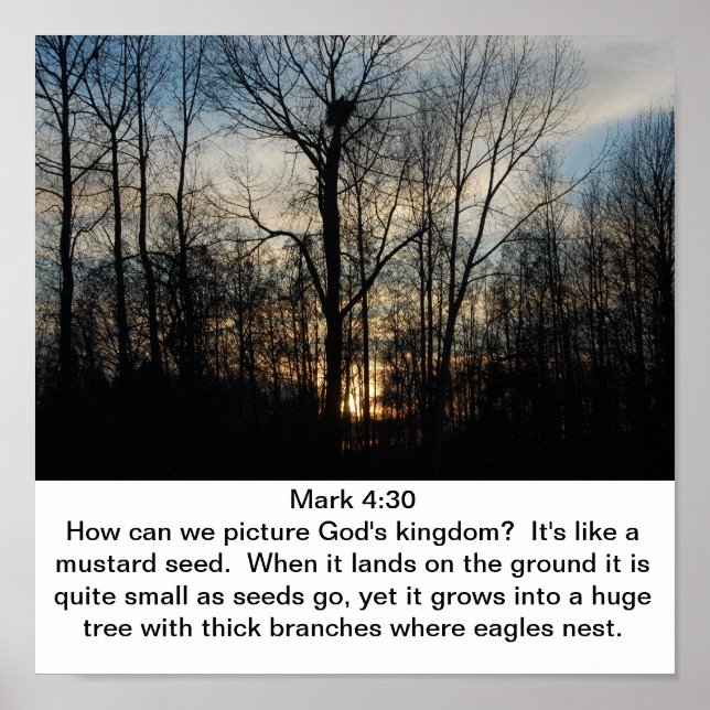 Poster Le nid du Royaume de Dieu (Devant)