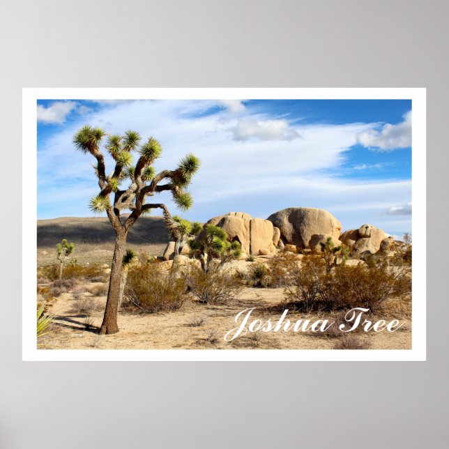 Poster Le Parc national de Joshua Tree (Devant)
