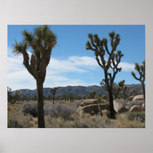 Poster Le Parc national de Joshua Tree