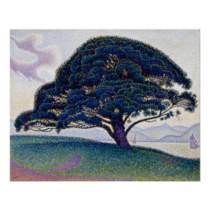 Poster Le pin Bonaventure, peinture à l'huile, Paul Signa