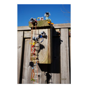 Poster Le placard de l'oiseau qui a grimpé des fubby