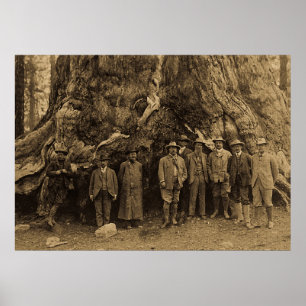 Poster Le président Roosevelt et John Muir California Se