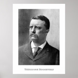 Poster Le président Theodore Roosevelt