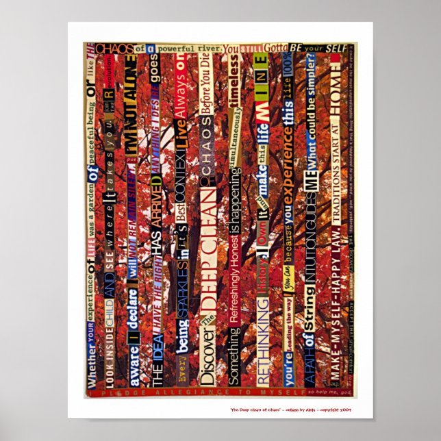 Poster Le profond nettoyage du chaos (Devant)