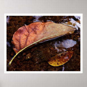 Poster le prospecteur