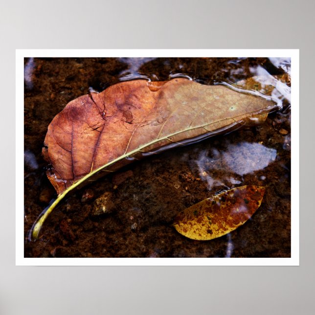 Poster le prospecteur (Devant)