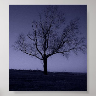 Poster Le Purle Tree
