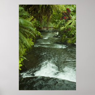 Poster Le rêve du Costa Rica
