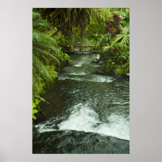 Poster Le rêve du Costa Rica