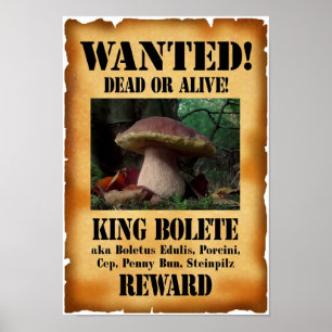 Poster Le roi Bolete - Recherché mort ou vivant