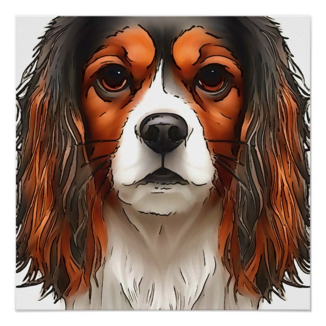 Poster Le roi Charles Cavalier Spaniel Portrait pour anim (Devant)