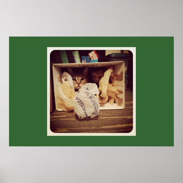 Poster Le secret d'Indigo (Devant)