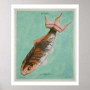 Poster Le Superbe, gravé par le tyran de Francois