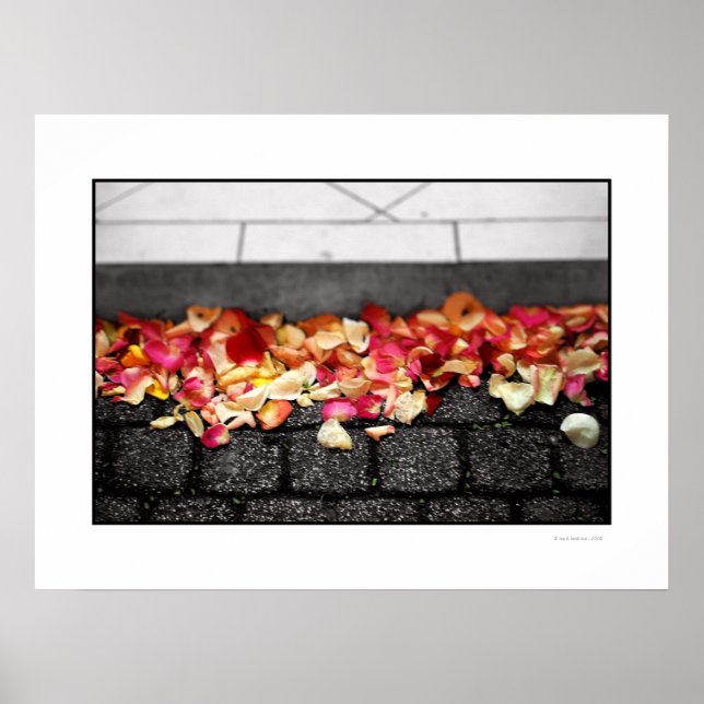 Poster LE TERRAIN QUE VOUS AVEZ MARCHÉ SUR L'Affiche (Devant)