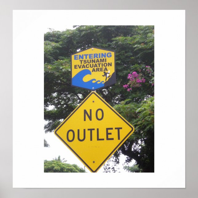 Poster Le tsunami (Devant)