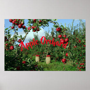 Poster Le verger Apple