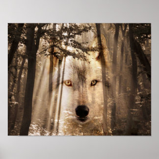 Poster Le visage de loup dans les bois
