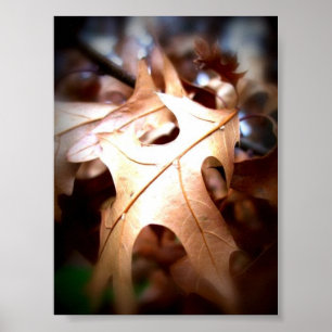 Poster Leaf...