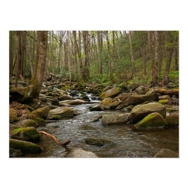 Poster LeConte Creek dans les Great Smoky Mountains (Devant)