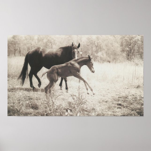 Poster Lecteurs directs (Devant)