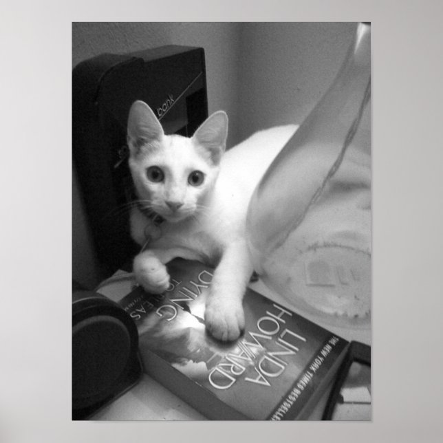 Poster Lecture (Devant)