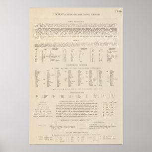 Poster Légende 7778 Yougoslavie