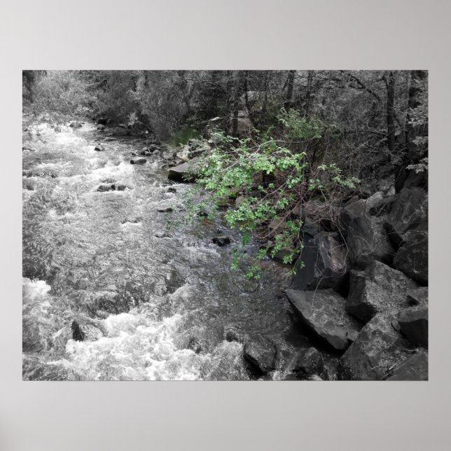 Poster Légende verte (Devant)