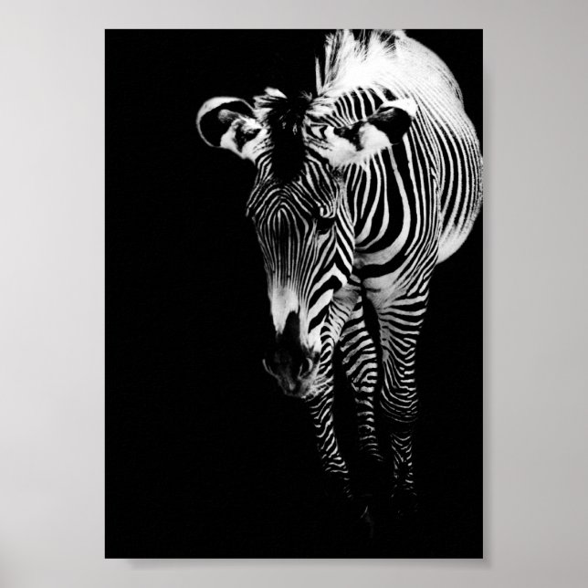Poster L'empreinte impériale (Devant)