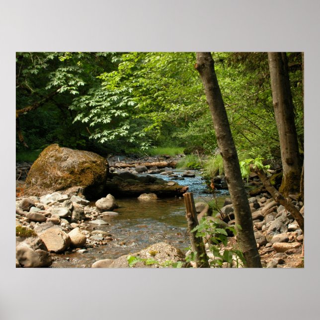 Poster L'Endroit Caché (Devant)