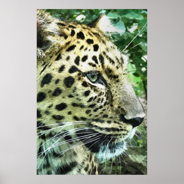 POSTER LEOPARD (Devant)