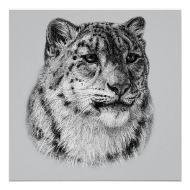Poster Leopard De Neige À Main (Devant)
