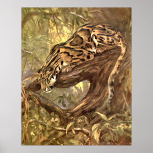 Poster Leopard nuageux par CE Swan, Animaux sauvages Vint