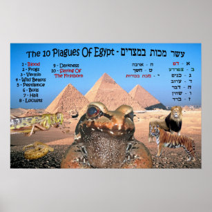 Poster Les 10 Plaies De L'Egypte - Anglais & Hébreu