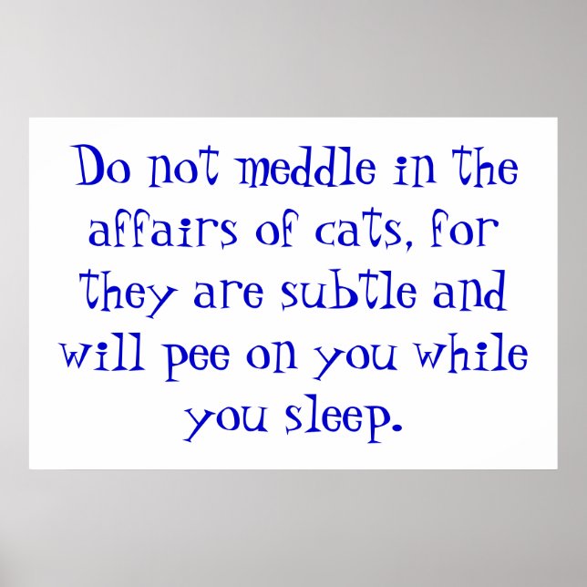 Poster Les affaires des chats (Devant)