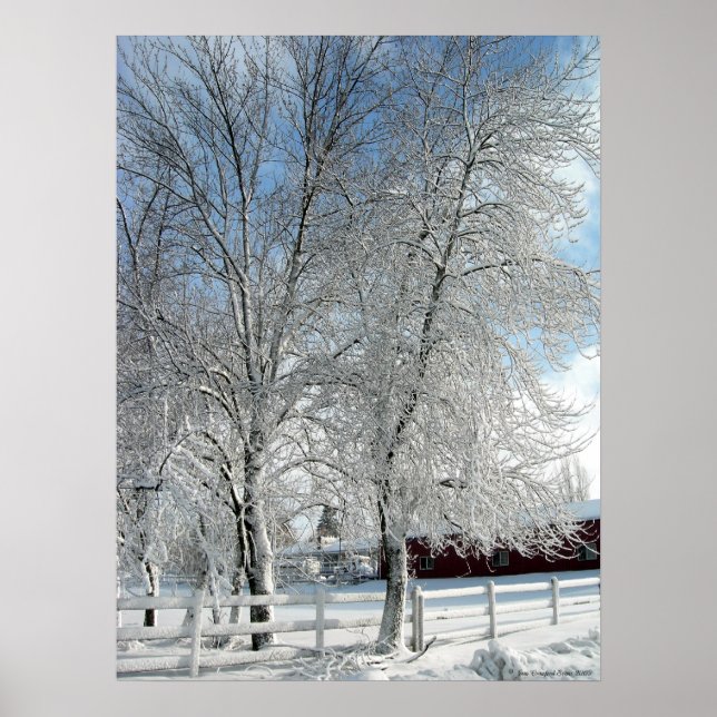 Poster Les arbres d'hiver (Devant)
