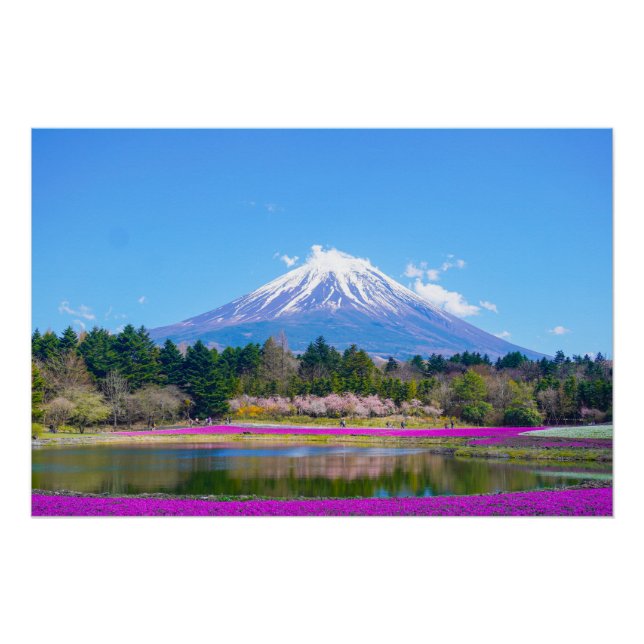 Poster Les arbres et fleurs du Mont Fuji (Devant)