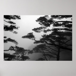 Poster Les arbres mystiques - Imprimer